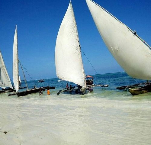 Nungwi Trio: Sea Turtles, Beach Snorkeling & Cultural Sunset Day Trip