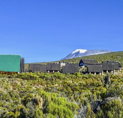 🏔️ Mount Kilimanjaro Day Hiking: The Marangu Route Rainforest Trek