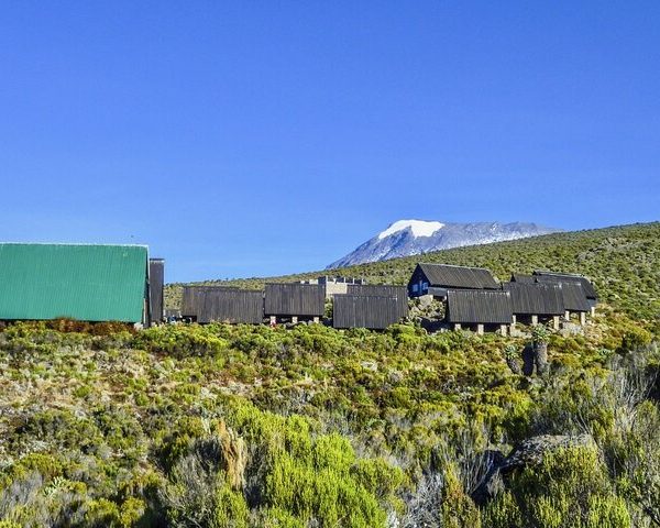 🏔️ Mount Kilimanjaro Day Hiking: The Marangu Route Rainforest Trek