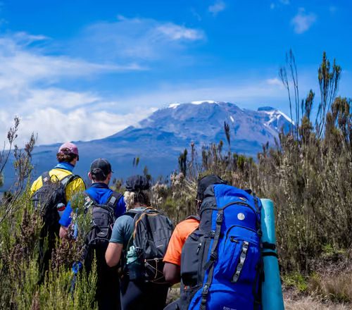 Kilimanjaro Day Hike Shira Plateau