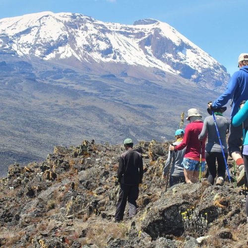 Kilimanjaro Day Hike Shira Plateau