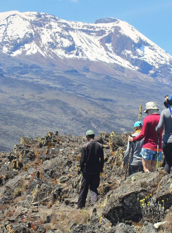 Kilimanjaro Day Hike Shira Plateau