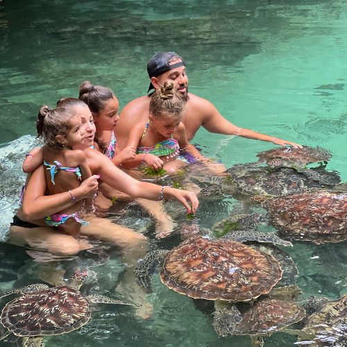 Nungwi Trio: Sea Turtles, Beach Snorkeling & Cultural Sunset Day Trip