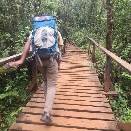 🏔️ Mount Kilimanjaro Day Hiking: The Marangu Route Rainforest Trek