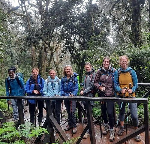 🏔️ Mount Kilimanjaro Day Hiking: The Marangu Route Rainforest Trek