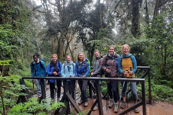 🏔️ Mount Kilimanjaro Day Hiking: The Marangu Route Rainforest Trek