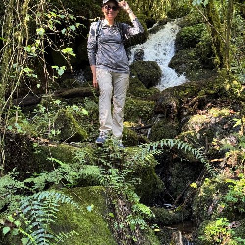 🏔️ Mount Kilimanjaro Day Hiking: The Marangu Route Rainforest Trek