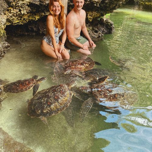 Nungwi Trio: Sea Turtles, Beach Snorkeling & Cultural Sunset Day Trip