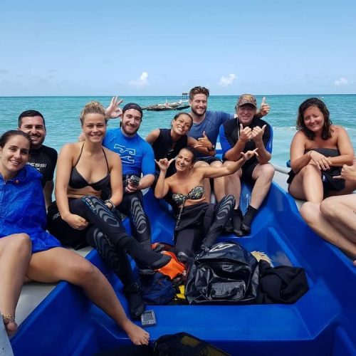 Tanzania Safari & Trekking Blog | Kilimanjaro Habitas Safaris