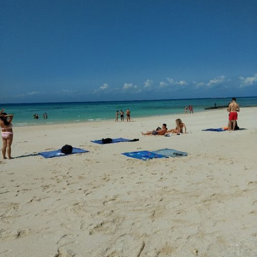 Prison Island (Changuu) Day Trip