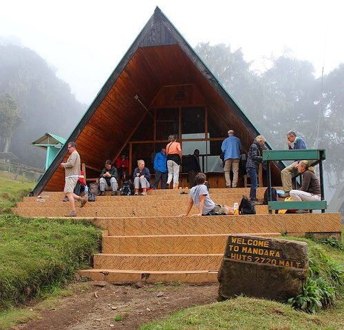 🏔️ Mount Kilimanjaro Day Hiking: The Marangu Route Rainforest Trek