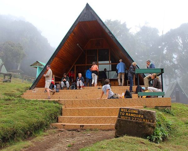 🏔️ Mount Kilimanjaro Day Hiking: The Marangu Route Rainforest Trek
