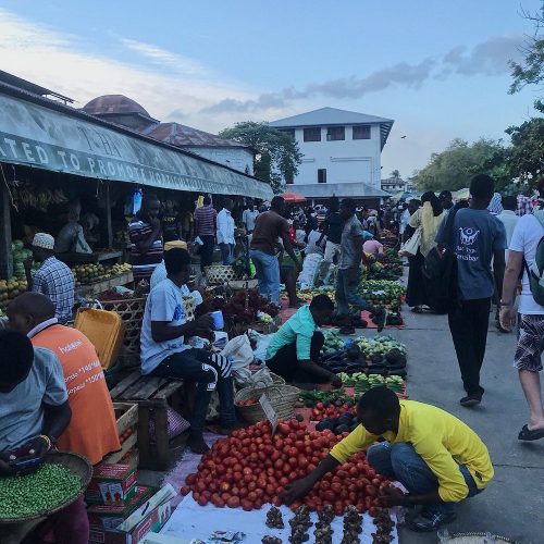 Zanzibar Stone Town Day Trip: Cultural & Historical Walking Tour