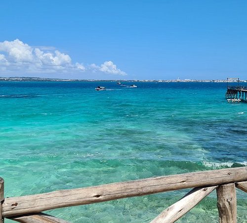 Prison Island (Changuu) Day Trip