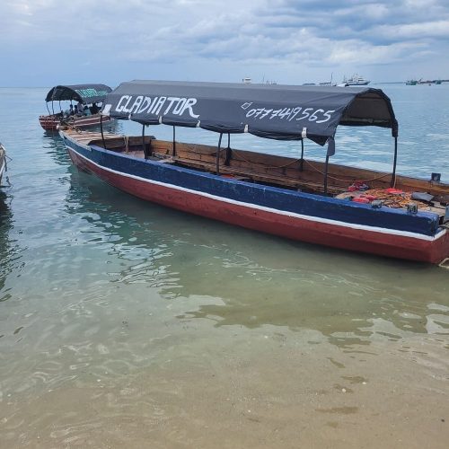 Prison Island (Changuu) Day Trip