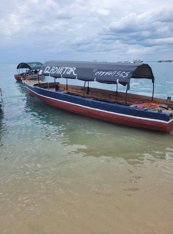 Prison Island (Changuu) Day Trip