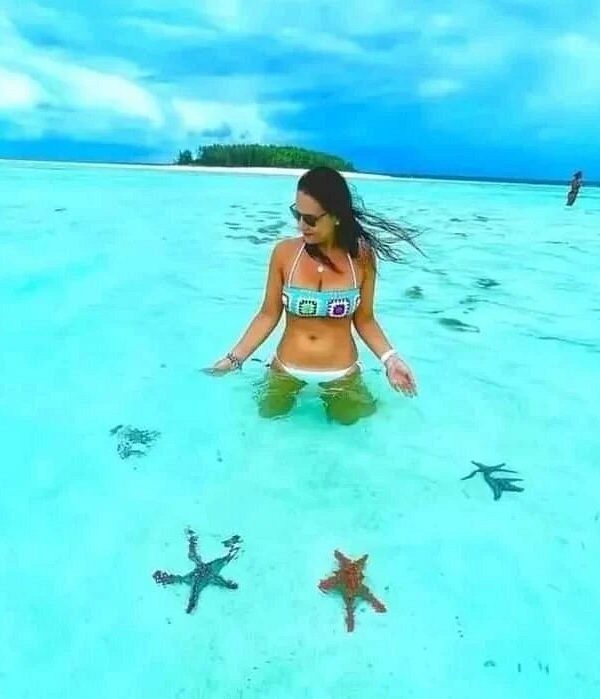 Nungwi Trio: Sea Turtles, Beach Snorkeling & Cultural Sunset Day Trip
