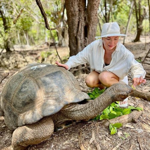 Woman in a white shirt and hat crouches beside a giant tortoise, feeding it green leaves in a forest.