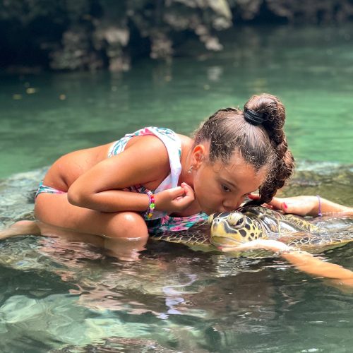 Nungwi Trio: Sea Turtles, Beach Snorkeling & Cultural Sunset Day Trip