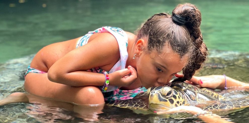 Nungwi Trio: Sea Turtles, Beach Snorkeling & Cultural Sunset Day Trip